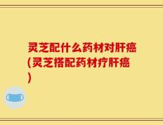 灵芝配什么药材对肝癌(灵芝搭配药材疗肝癌)