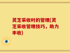 灵芝采收时的管理(灵芝采收管理技巧，助力丰收)