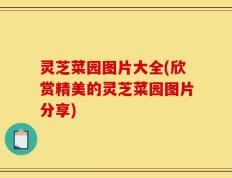 灵芝菜园图片大全(欣赏精美的灵芝菜园图片分享)