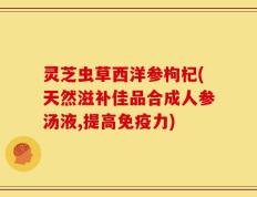 灵芝虫草西洋参枸杞(天然滋补佳品合成人参汤液,提高免疫力)