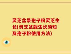 灵芝盆景孢子粉灵芝生长(灵芝盆栽生长须知及孢子粉使用方法)