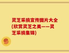 灵芝采摘宣传图片大全(欣赏灵芝之美——灵芝采摘集锦)