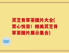 灵芝骨草茶图片大全(赏心悦目！精美灵芝骨草茶图片展示集合)