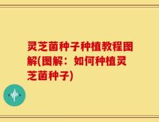 灵芝菌种子种植教程图解(图解：如何种植灵芝菌种子)