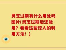 灵芝过期有什么用处吗图片(灵芝过期后还能用？看看这些惊人的利用方法！)