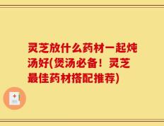 灵芝放什么药材一起炖汤好(煲汤必备！灵芝最佳药材搭配推荐)