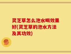 灵芝草怎么泡水喝效果好(灵芝草的泡水方法及其功效)