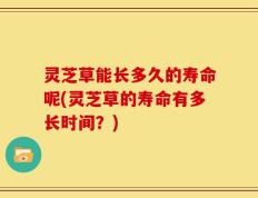 灵芝草能长多久的寿命呢(灵芝草的寿命有多长时间？)