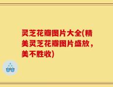 灵芝花瓣图片大全(精美灵芝花瓣图片盛放，美不胜收)