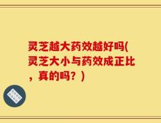 灵芝越大药效越好吗(灵芝大小与药效成正比，真的吗？)