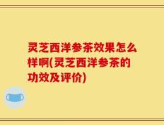 灵芝西洋参茶效果怎么样啊(灵芝西洋参茶的功效及评价)