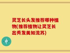 灵芝长头发推荐哪种植物(推荐植物让灵芝长出秀发美如流苏)
