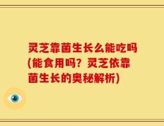 灵芝靠菌生长么能吃吗(能食用吗？灵芝依靠菌生长的奥秘解析)
