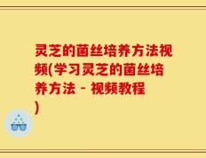 灵芝的菌丝培养方法视频(学习灵芝的菌丝培养方法 - 视频教程)