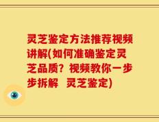灵芝鉴定方法推荐视频讲解(如何准确鉴定灵芝品质？视频教你一步步拆解  灵芝鉴定)