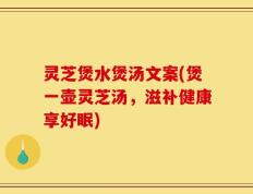 灵芝煲水煲汤文案(煲一壶灵芝汤，滋补健康享好眠)