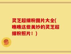 灵芝超细粉图片大全(瞧瞧这些美妙的灵芝超细粉照片！)