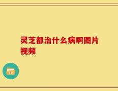灵芝都治什么病啊图片视频