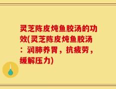 灵芝陈皮炖鱼胶汤的功效(灵芝陈皮炖鱼胶汤：润肺养胃，抗疲劳，缓解压力)