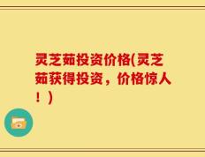 灵芝茹投资价格(灵芝茹获得投资，价格惊人！)
