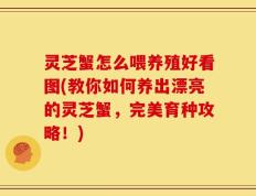 灵芝蟹怎么喂养殖好看图(教你如何养出漂亮的灵芝蟹，完美育种攻略！)