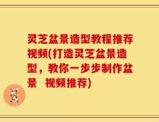 灵芝盆景造型教程推荐视频(打造灵芝盆景造型，教你一步步制作盆景  视频推荐)