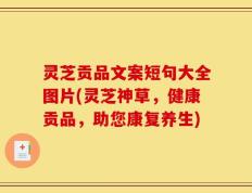 灵芝贡品文案短句大全图片(灵芝神草，健康贡品，助您康复养生)