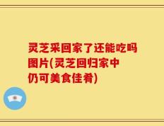 灵芝采回家了还能吃吗图片(灵芝回归家中 仍可美食佳肴)