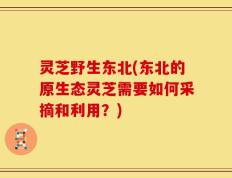 灵芝野生东北(东北的原生态灵芝需要如何采摘和利用？)