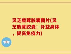 灵芝鹿茸胶囊图片(灵芝鹿茸胶囊：补益身体，提高免疫力)