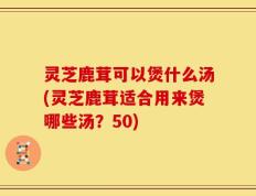 灵芝鹿茸可以煲什么汤(灵芝鹿茸适合用来煲哪些汤？50)