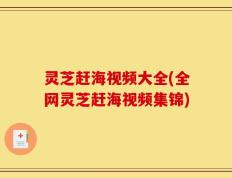 灵芝赶海视频大全(全网灵芝赶海视频集锦)