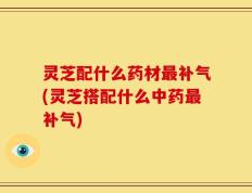 灵芝配什么药材最补气(灵芝搭配什么中药最补气)