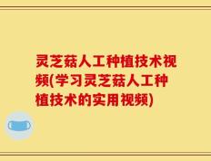 灵芝菇人工种植技术视频(学习灵芝菇人工种植技术的实用视频)