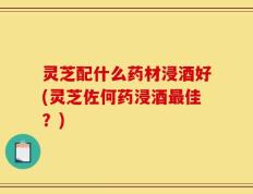 灵芝配什么药材浸酒好(灵芝佐何药浸酒最佳？)