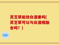 灵芝草能放白酒里吗(灵芝草可以与白酒相融合吗？)
