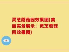 灵芝蘑菇园效果图(美丽实景展示：灵芝蘑菇园效果图)