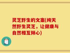 灵芝野生的文案(纯天然野生灵芝，让健康与自然相互倾心)