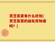 灵芝蒸蛋有什么好处(灵芝蒸蛋的益处你知道吗？)