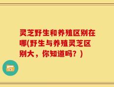 灵芝野生和养殖区别在哪(野生与养殖灵芝区别大，你知道吗？)