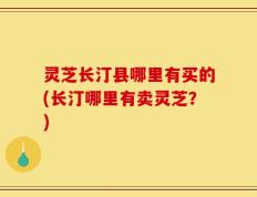 灵芝长汀县哪里有买的(长汀哪里有卖灵芝？)