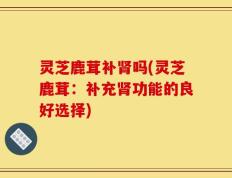 灵芝鹿茸补肾吗(灵芝鹿茸：补充肾功能的良好选择)