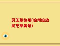 灵芝草徐州(徐州绽放灵芝草美景)