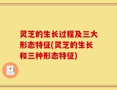 灵芝的生长过程及三大形态特征(灵芝的生长和三种形态特征)