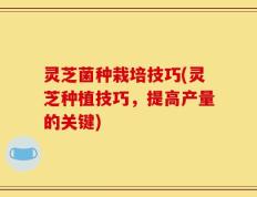 灵芝菌种栽培技巧(灵芝种植技巧，提高产量的关键)