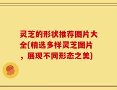 灵芝的形状推荐图片大全(精选多样灵芝图片，展现不同形态之美)
