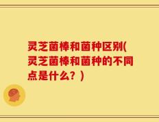 灵芝菌棒和菌种区别(灵芝菌棒和菌种的不同点是什么？)
