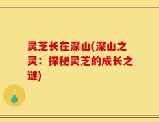 灵芝长在深山(深山之灵：探秘灵芝的成长之谜)
