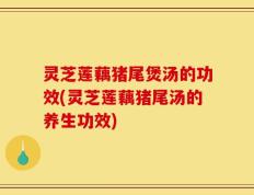 灵芝莲藕猪尾煲汤的功效(灵芝莲藕猪尾汤的养生功效)