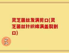 灵芝菌丝发满剪口(灵芝菌丝针织绵满盖裂割口)